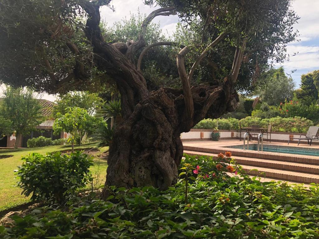 Authentic Andalucia Βίλα Μαρμπέλλα Εξωτερικό φωτογραφία