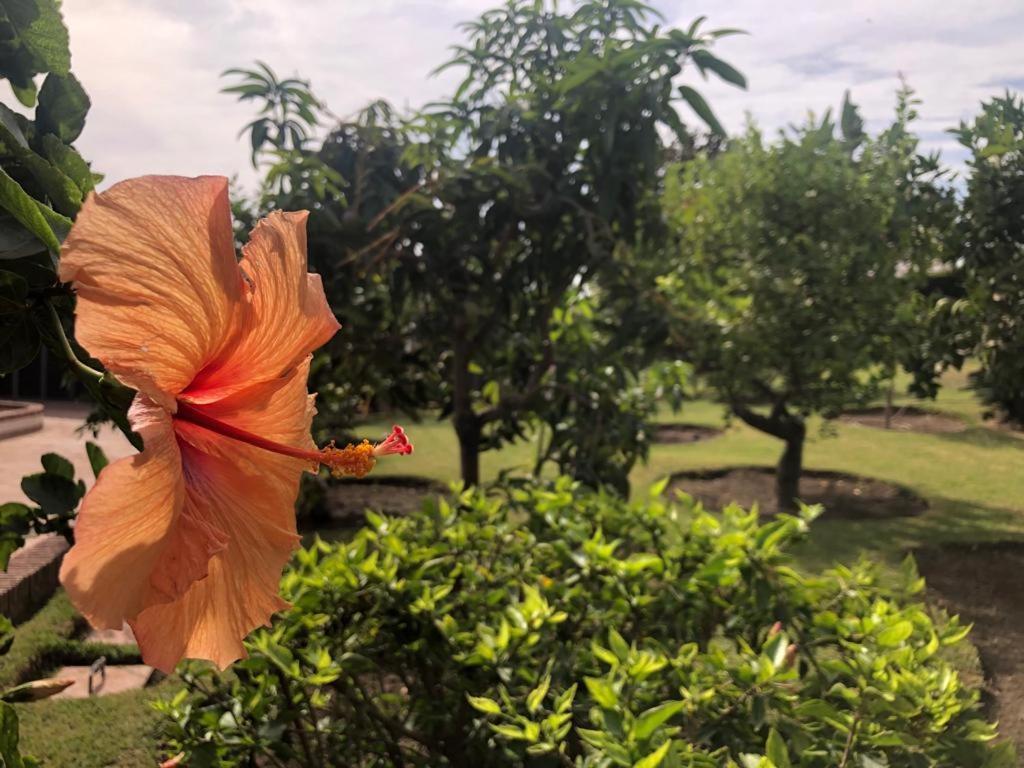 Authentic Andalucia Βίλα Μαρμπέλλα Εξωτερικό φωτογραφία